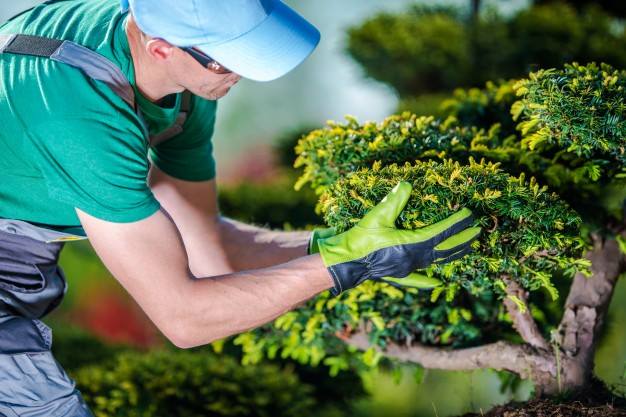 Landscaping Binghamton Ny Choose The Right Landscaping Contractor For